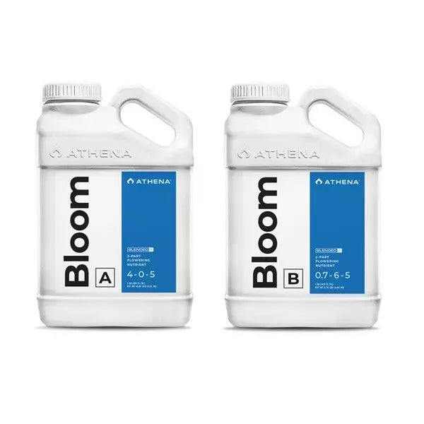 Athena BLOOM A + B 0.94L